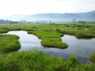 尾瀬ハイキング2