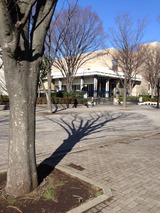 f8760e79.jpg