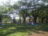 代々木公園