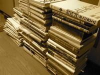donadona_books