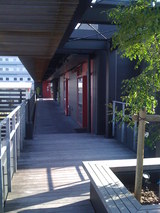 ���Ծ���