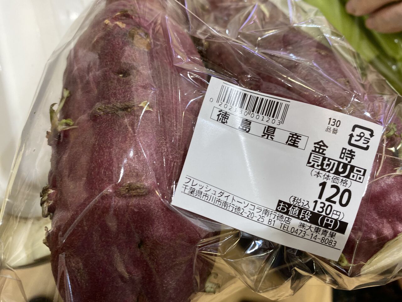 スーパーに売ってたサツマイモから芽が生えてた 26日目 さつまいも再生栽培 リボベジ リボーンベジタブルに挑戦 水耕栽培 団地ベランダ菜園リボベジ おいもちゃま スーパーに売ってたサツマイモから芽が生えてた 26日目 さつまいも再生栽培 リボベジ リボーンベジタブルに挑戦 水耕栽培 団地ベランダ菜園リボベジ おいもちゃま