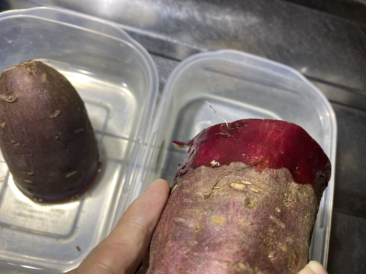 失敗に気づく サツマイモ水耕栽培は半分に切ったら芽がでない 7日目 さつまいも再生栽培 リボベジ に挑戦 オススメできない育て方 団地ベランダ菜園リボベジ おいもちゃま