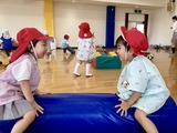 IMG_0471