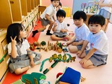 IMG_1804