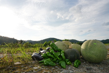 大石田 野菜