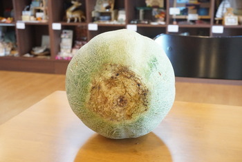 大石田 メロン