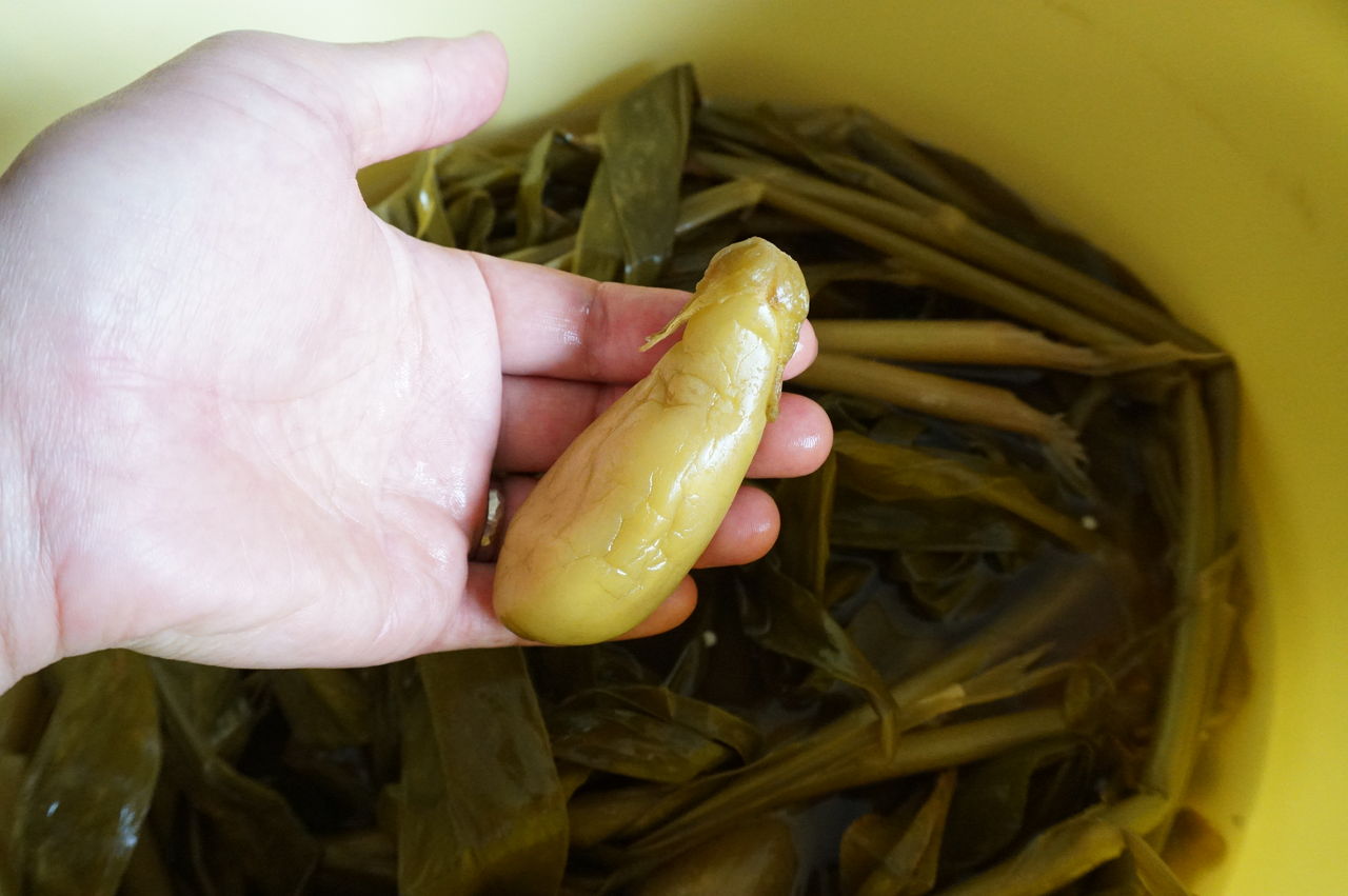 大石田町発祥のぺそら漬 今年も漬けました ご報告 大石田町エトペソラ