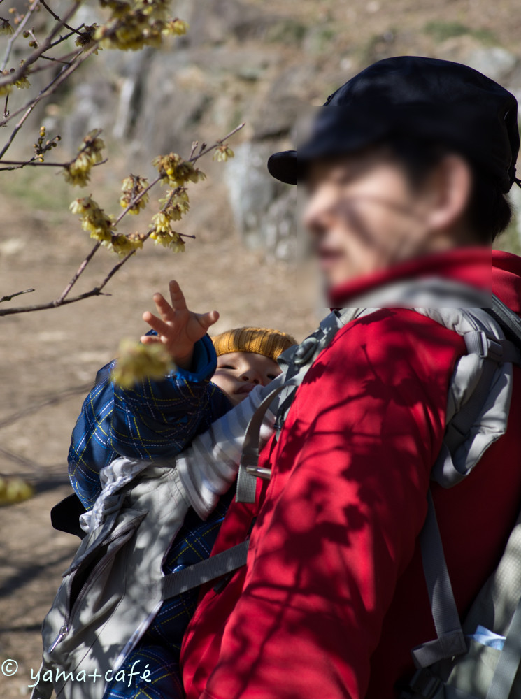 20160113宝登山-53