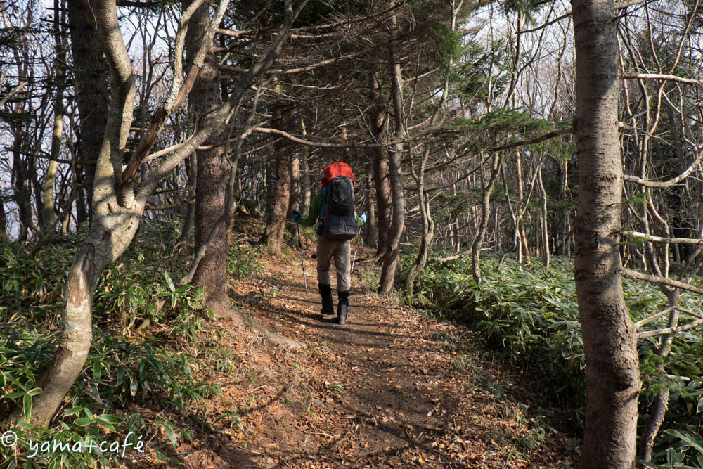 20151020ミツモチ山-306