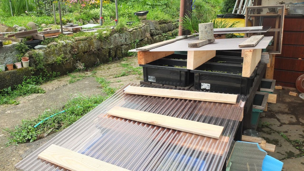 雨の合間に 大分屋3の週末だけのブログ 雨の合間に 大分屋3の週末だけのブログ