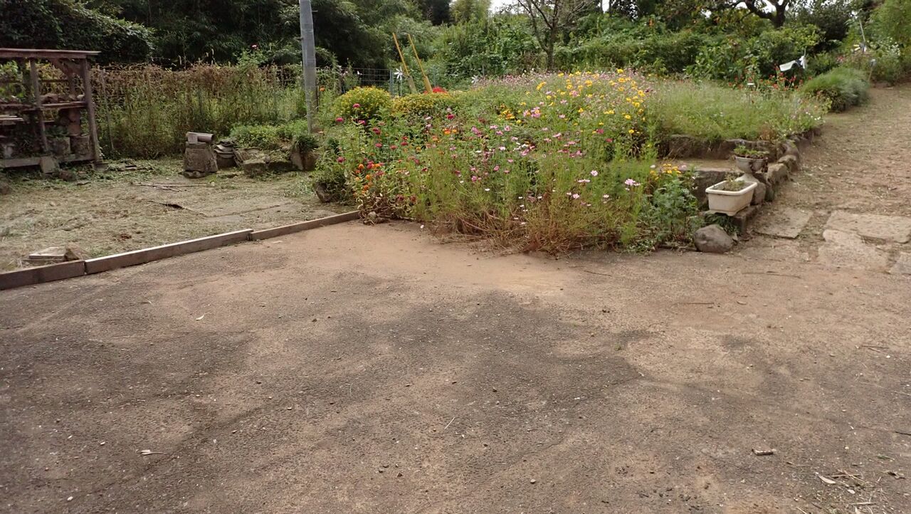 土埃は水掃きで始末 : 大分屋3の週末だけのブログ