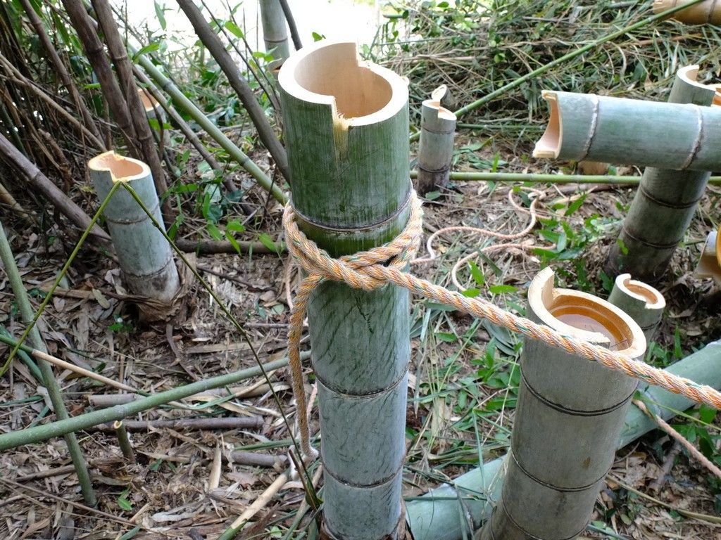 最後の孟宗竹伐採 大分屋3の週末だけのブログ