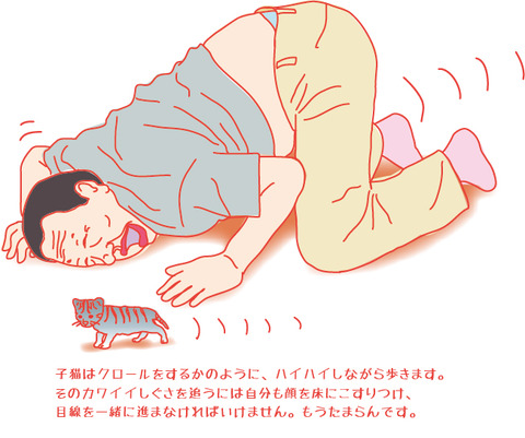 5hikino_suteneko
