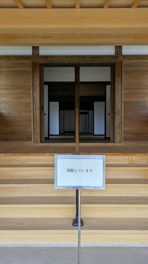 PXL_20250412_035300134