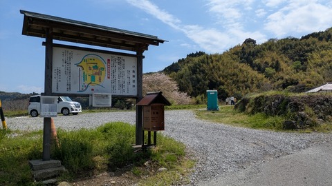 PXL_20250412_034942519