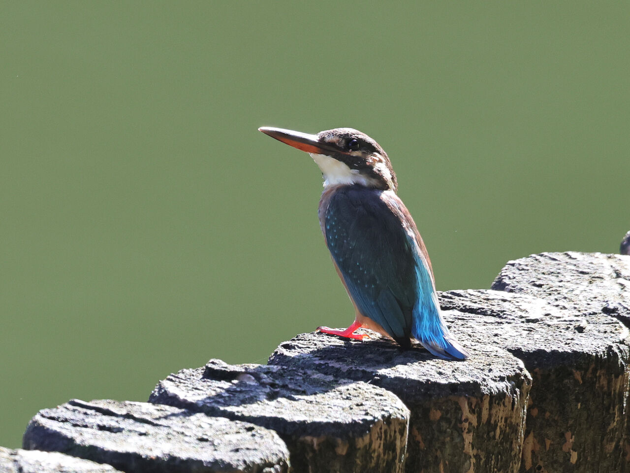 小田山麓を歩く 宝篋山】好展望、好アクセスで通年・気軽に登れる低名山の旅