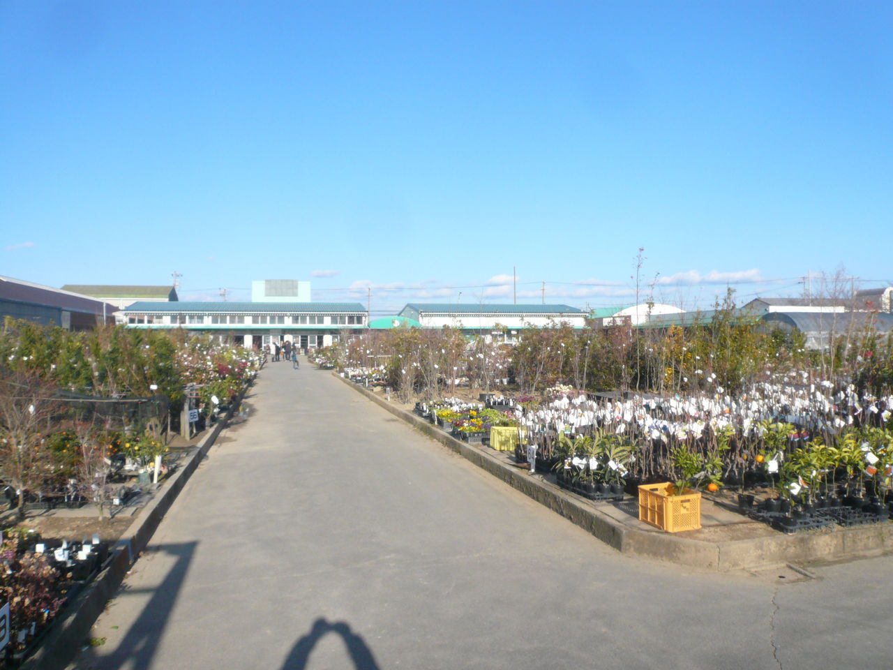 市 の 西尾 農園 憩い