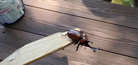 218901138_2964771957126296_3313694975638978054_n