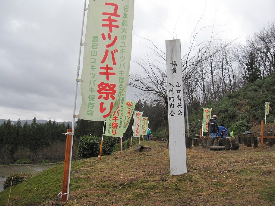 イメージ 5