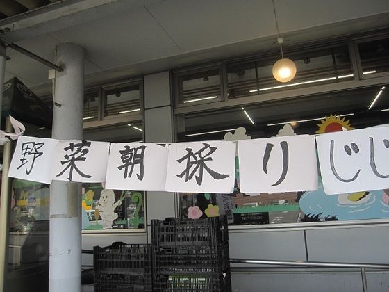 イメージ 7