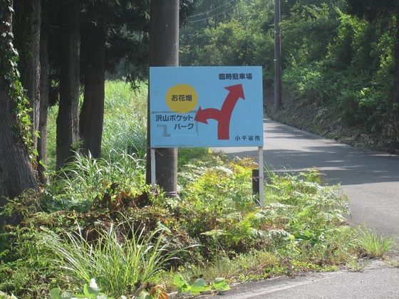 イメージ 4