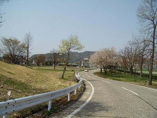 イメージ 5