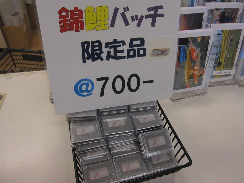 イメージ 9