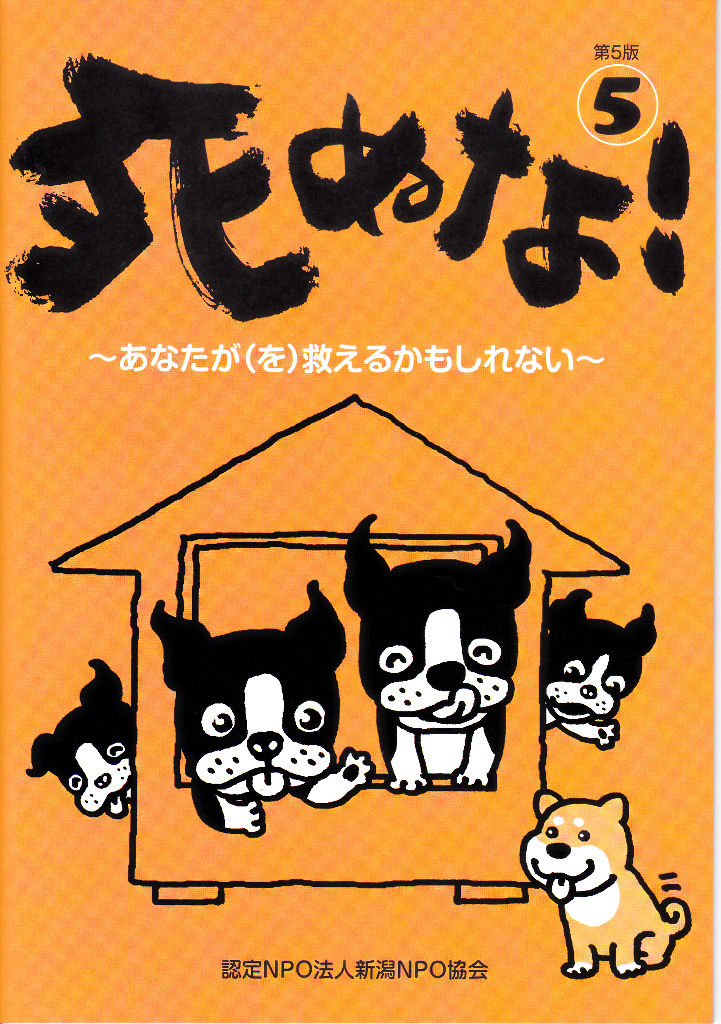 イメージ 13