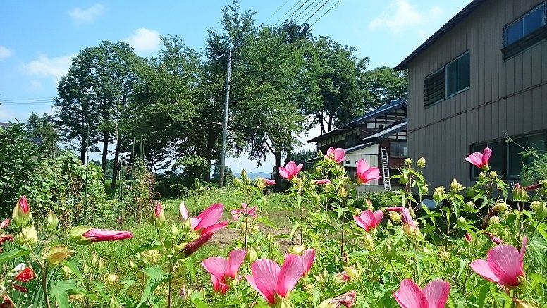 イメージ 4