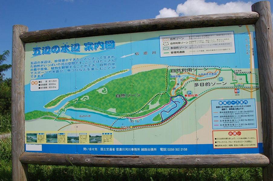 イメージ 3
