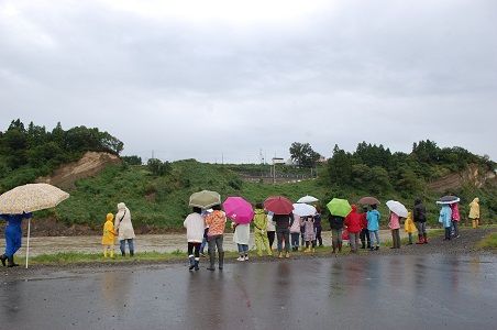 イメージ 7