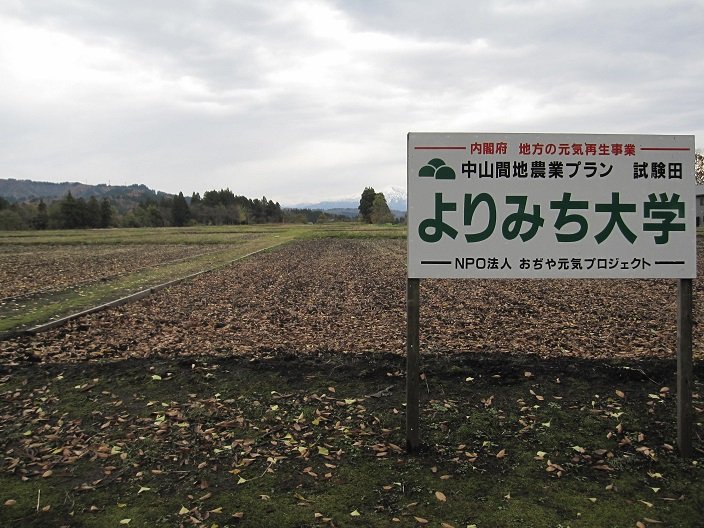 イメージ 7