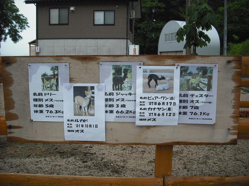 イメージ 5