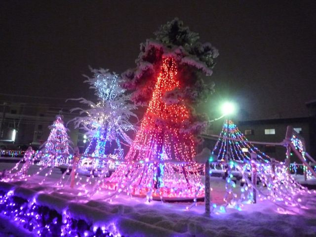 2017年クリスマスイルミネーション♪ │ ほっこりブログ