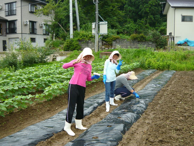 林間学校1日目 10 農作業の服装 おぢやファンクラブ ブログ 林間学校1日目 10 農作業の服装 おぢやファンクラブ ブログ