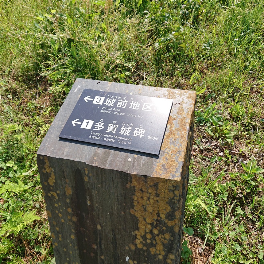 DSC_0418 (2022-05-25T11_30_35.549)