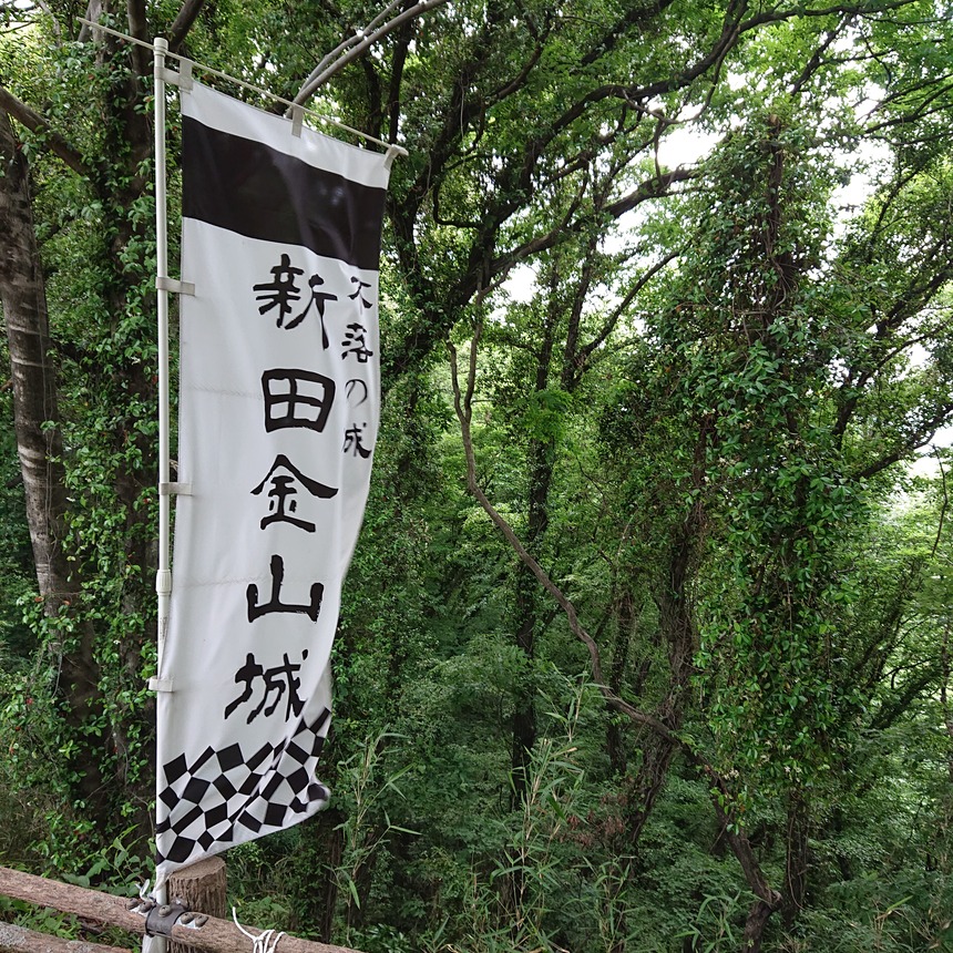 DSC_0668 (2022-05-26T12_34_15.350)