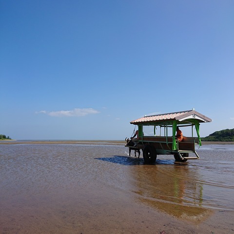 DSC_0835 (2020-09-06T15_37_21.000)