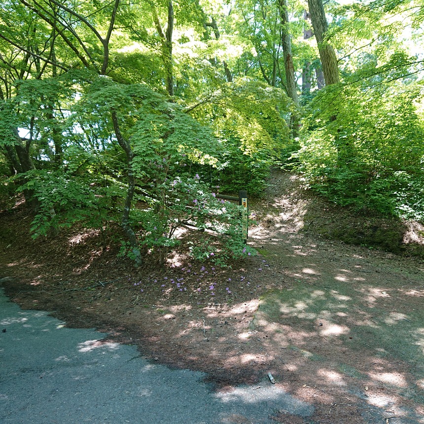 DSC_0408 (2022-05-25T11_30_02.764)