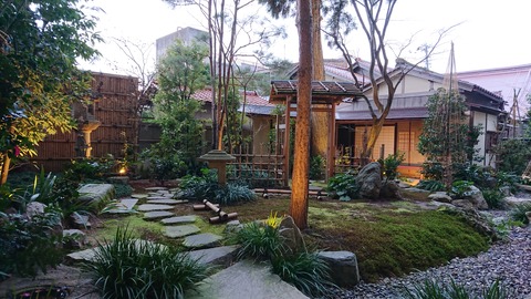 DSC_1548 (2020-01-26T17_07_09.000)