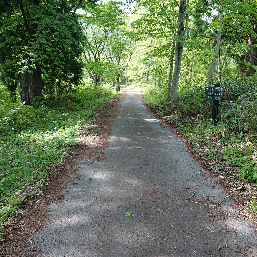 DSC_0607 (2022-05-26T23_03_11.991)