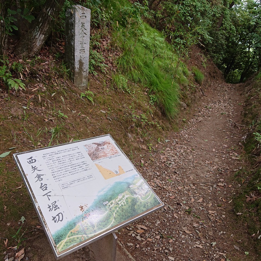 DSC_0673 (2022-05-26T12_32_14.141)