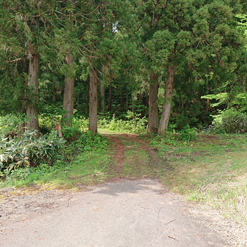 DSC_0620 (2022-05-26T19_45_46.579)