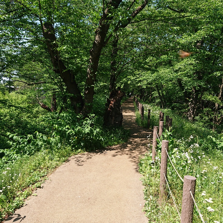 DSC_0464 (2022-05-25T11_31_46.895)