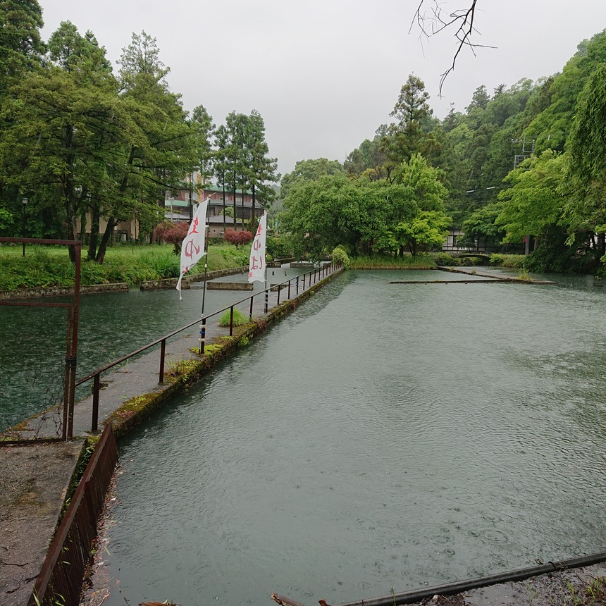 DSC_0842 (2022-05-27T03_35_09.055)