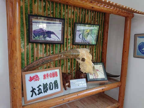 DSC_0810 (2020-09-06T14_13_29.000)