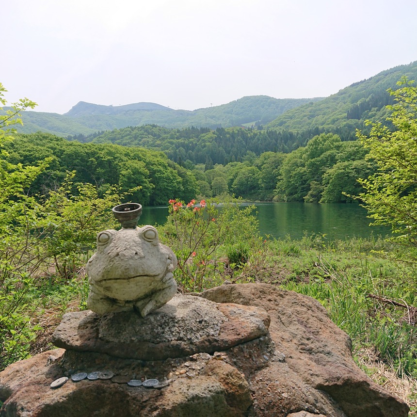 DSC_0654 (2022-05-26T12_23_43.013)