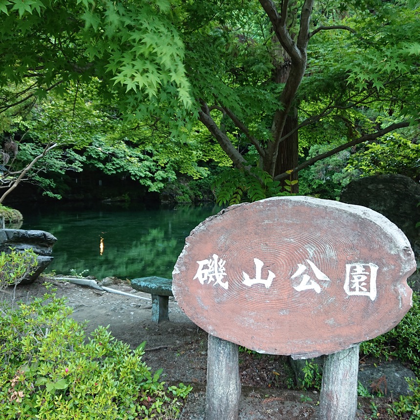 DSC_0800 (2022-05-26T13_12_59.058)