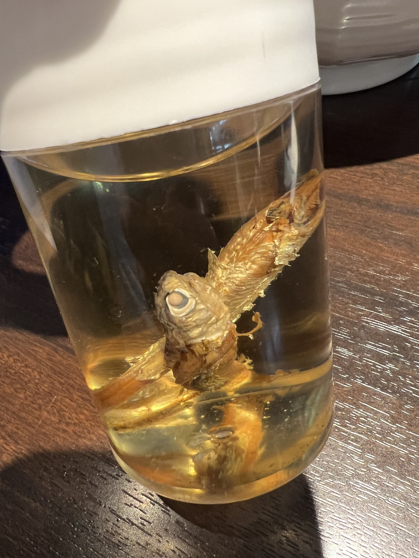 2022-07-15_19-15-08_371